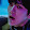 EXOL AF
