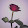 Lilli _