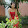 Ngọc Nguyễn