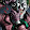 joker berky