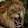 LionLP