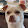 A Dogtor