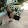 VUI NHON TONG HOP CHIEN KE Truongthi