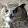 Hibou