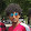 ኣለኩ ኣለኩ !!!