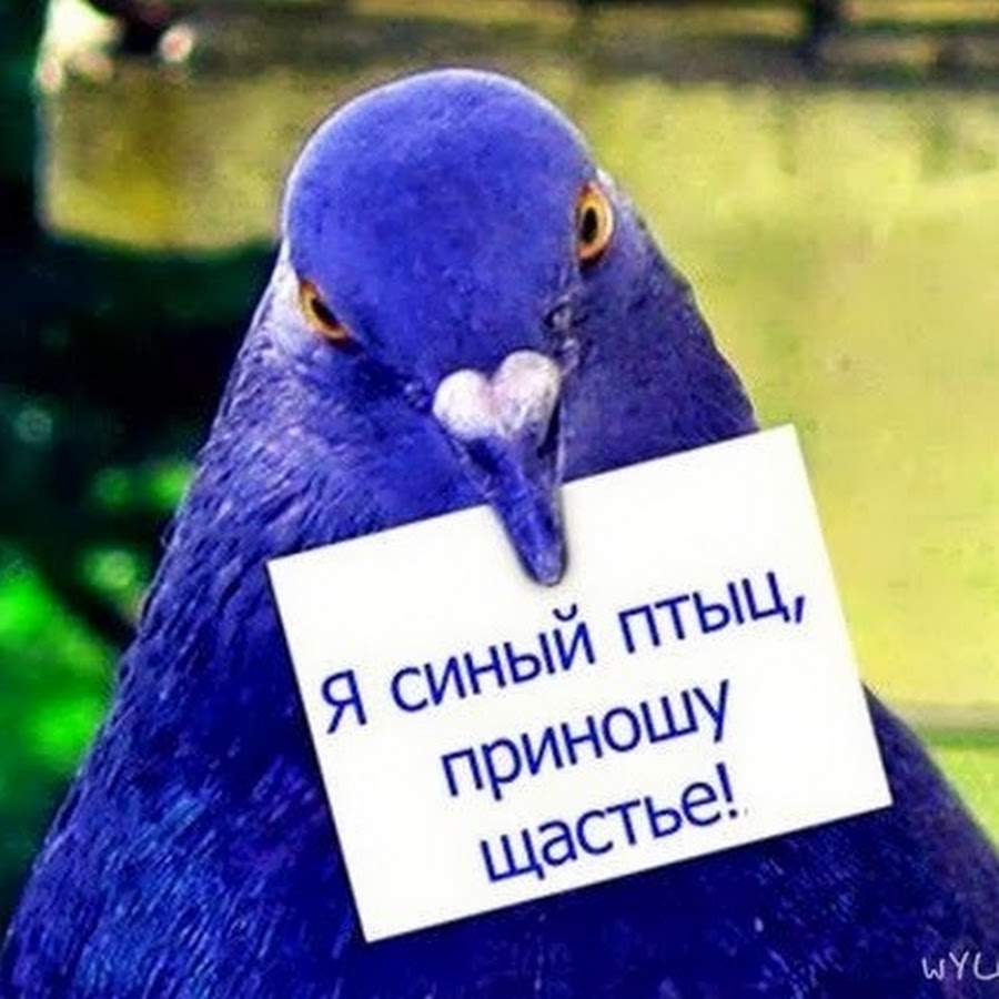 Межотраслевая конференция АНТИКОРРОЗИОННАЯ ЗАЩИТА - защита от Лекарство Лаеннек - инструкция по применению, отзывы