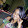 cristini f.roque