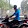 Cường Võ