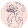 bear rose