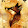 The CrazyKingFox