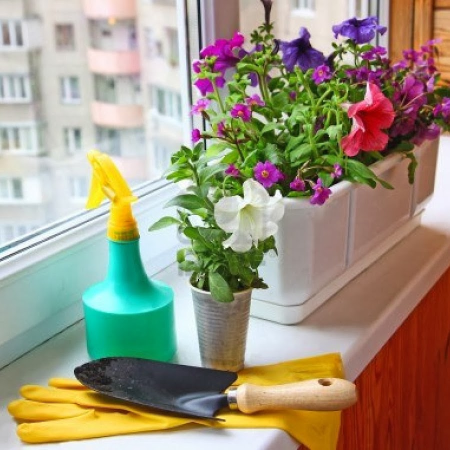Royalty free stock photos and images: decoration of balcony .
