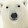 Papa Bear