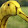 Saturnin
