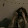 Nour AL-Abdo