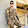 نقيب احمد الساعدي07716892790
