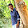 Nithiy ananthan