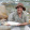 The Blewit