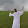 ايمن السني