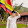 Hoàng Đức Thắng Official