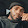 Ronnell Lee