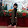 Nga Trinh