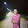Ravi Kumar Singh