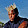 AWV INC