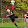 goalkepeer, gardien de but, Portero Football