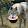 TheDogFister