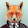 Nick Wilde