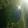 Soccer Ball