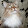 котомен 2019
