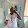 Khadim Diop