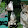 Cute Wolf Gaming!