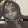 Shanti Martin