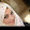 بنت حماه
