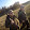 huntinginScotland