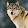SilverWolf Draws