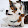 Corgi