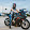 Tao Biker