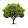 Tree with no Hands