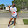 Leonte Reed