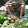 Tuyen Trong