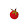 Mini tomate