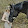 Gabrielle_Equi_TV
