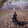 Alone Angel
