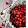 Cerasella foodblog