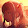 kiwi_yare mubell