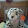 lila bear