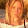 Linda Tedeschi
